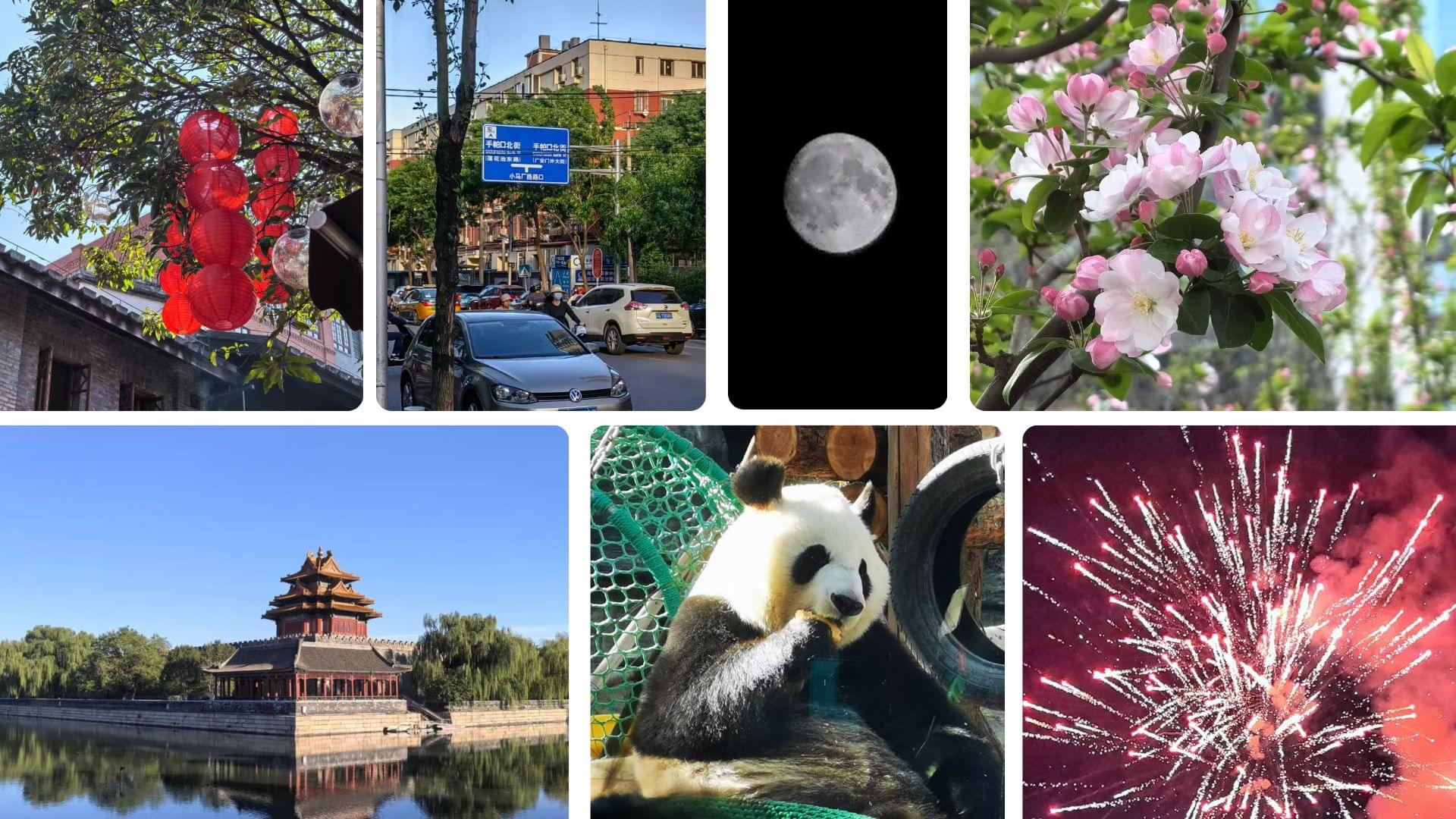一篇迟到的2024年总结